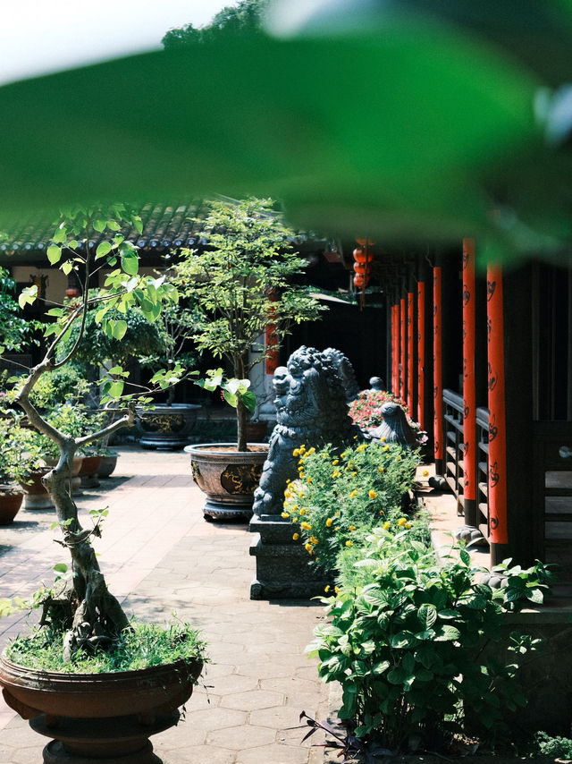 厳かさとカオスが同居した魅力 | 五行山（マーブルマウンテン）