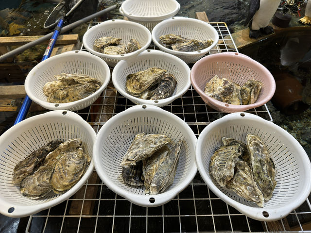 🍣🍤🐟Seafood Feast by the Harbor: Raw & Cooked Delights at Nagasaki Port Market