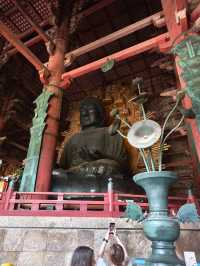 Nara park - must visit place in Japan