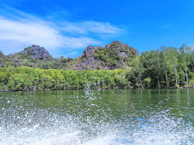 Royal Mangrove Langkawi (Kilim Geoforest Park)