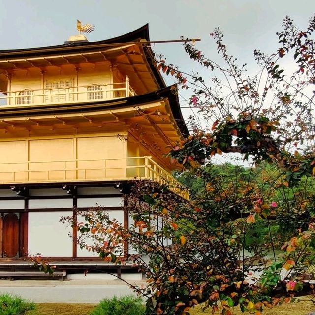 黄金の輝きに包まれた静寂の中で
