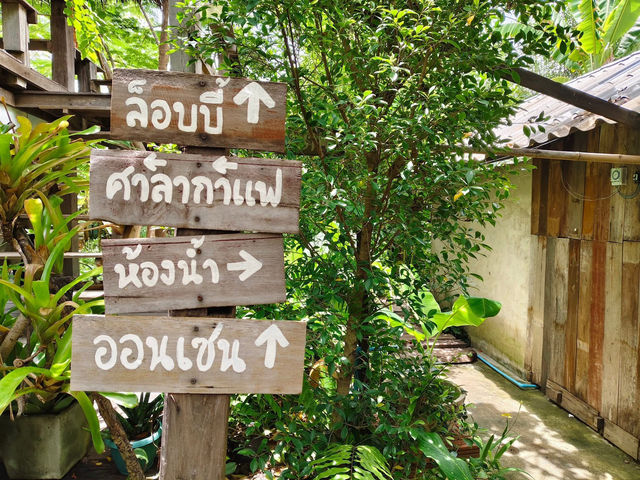 โรงคั่วกาแฟดาวร้าย ลำพูน