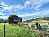 Say cheese in Tasmania: A delightful pause at The Wicked Cheese Company