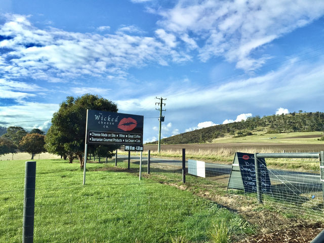 Say cheese in Tasmania: A delightful pause at The Wicked Cheese Company
