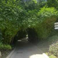 Bailuzhou East Park: Xiamen’s Chill Zone (With 100% Less Tourists)"** 🌿🦢  