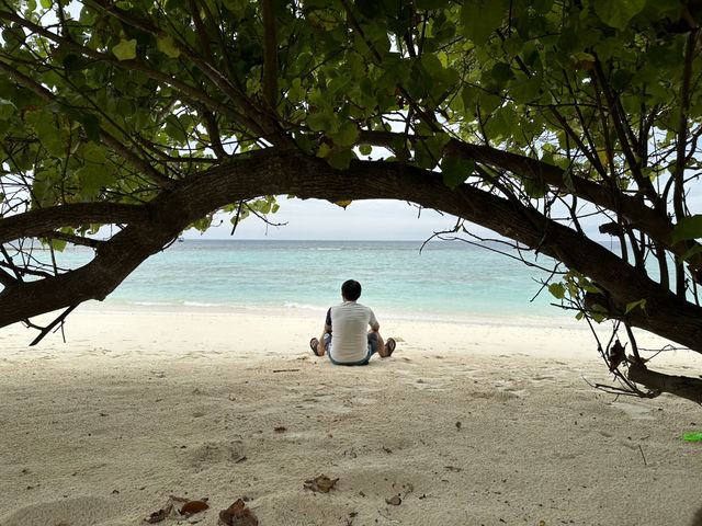  #Maldives➖Views That Feel Like a Dream 🌊