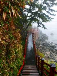 Deokbongsan Coastal Trail Walk 