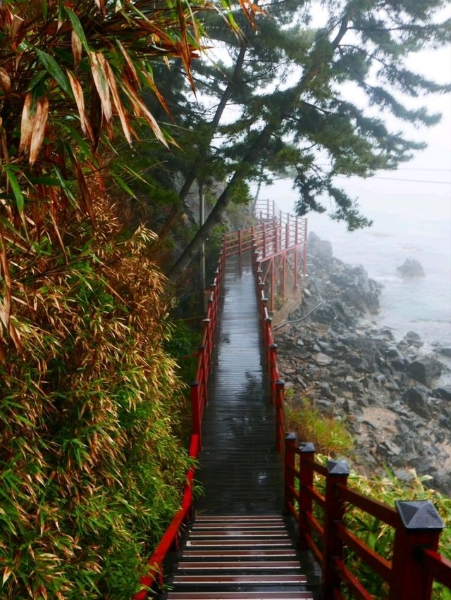 Deokbongsan Coastal Trail Walk 