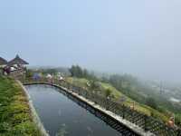 Yun Lai Viewpoint➖Misty Mountains and Tea Mornings 🌫️