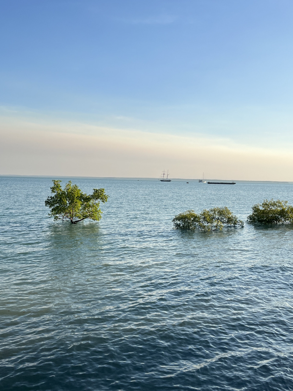 ダーウィンのおすすめ旅程2025年（11月更新）| Trip Moments