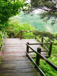Came for a Walk, Ended Up in a Nature Daydream