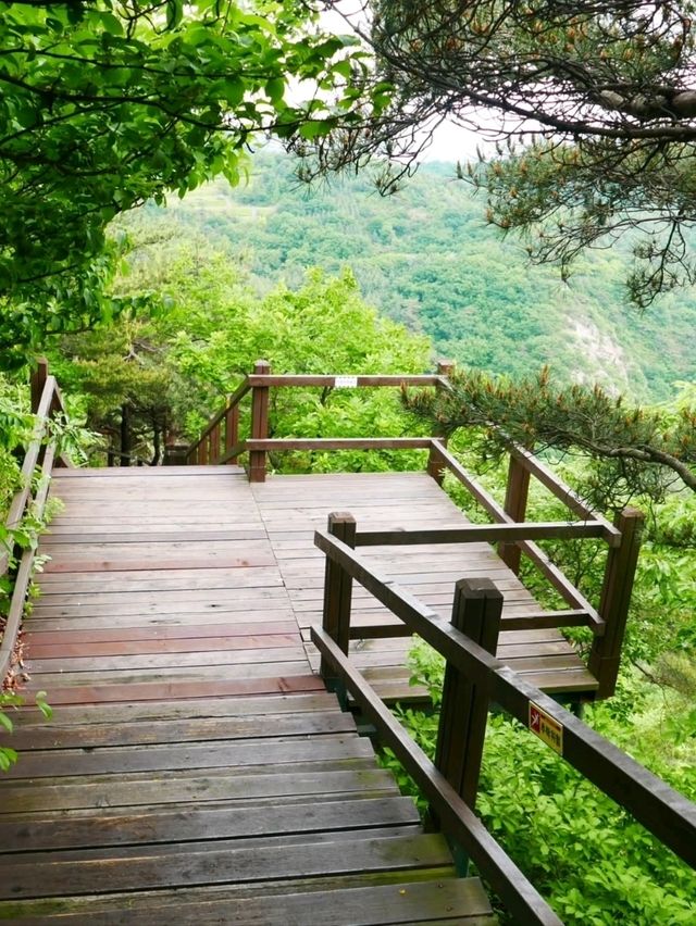 Came for a Walk, Ended Up in a Nature Daydream