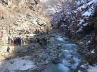 🐒 Jigokudani Yaen-Koen – A Snow Monkey Experience Worth the Hike