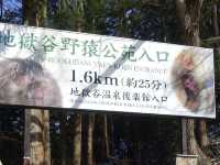 🐒 Jigokudani Yaen-Koen – A Snow Monkey Experience Worth the Hike