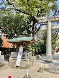 하카타 숨은 오아시스🌿 후쿠오카 住吉神社 완전 가이드