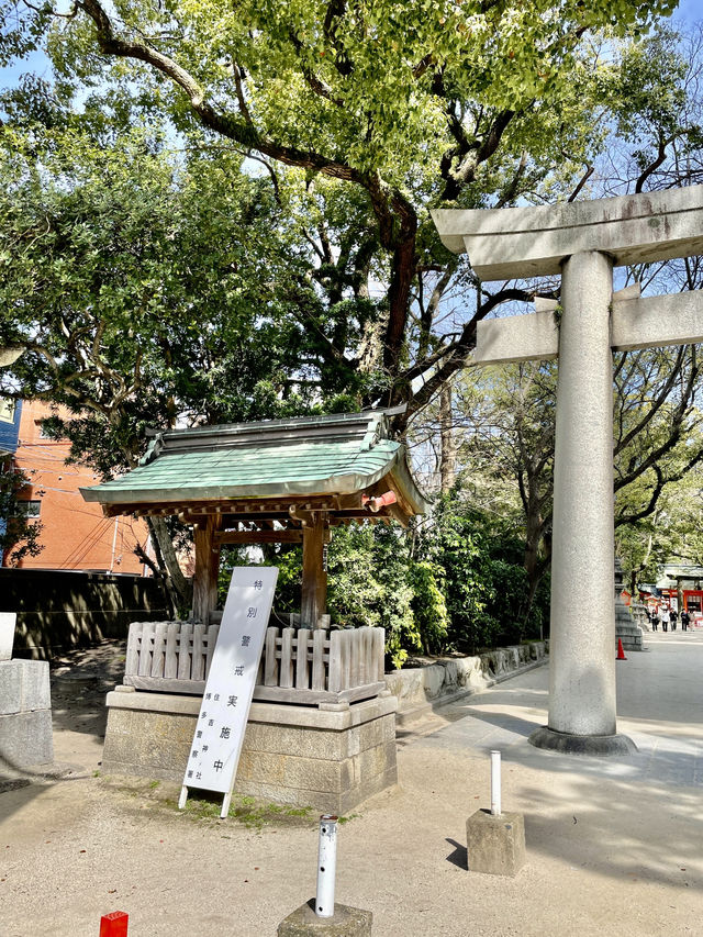 하카타 숨은 오아시스🌿 후쿠오카 住吉神社 완전 가이드