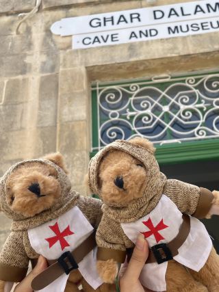 🦴 몰타의 아주 오래된 기억, Għar Dalam 박물관 🌿