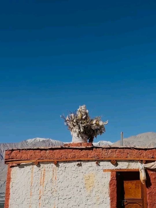 🏞️ Nubra Valley – The Desert in the Sky 🌄🐪