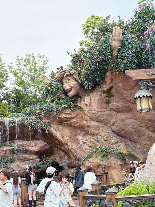 【ディズニーシー】ファンタジースプリングスエリア🍃