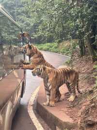 A Perfect Blend of Nature and Wildlife