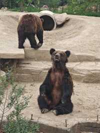 ~汕頭動物園~奇妙世界~