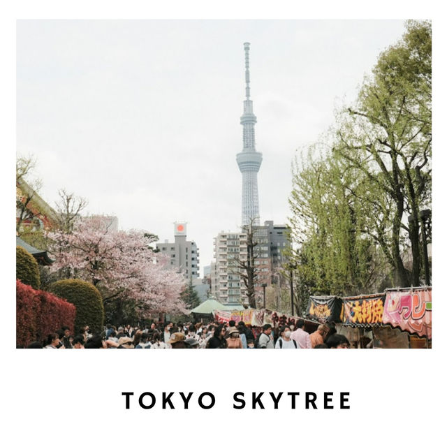 🗼 Tokyo Skytree – หอคอยชมวิวที่สูงที่สุดของญี่ปุ่