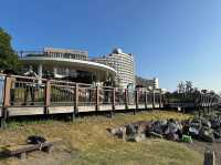 Odaiba Marine Park: Tokyo’s Seaside Escape