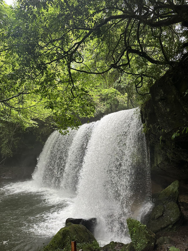 ♨️黑川溫泉＋秘境瀑布小旅行｜超放鬆溫泉鄉＋森林秘景打卡點 🏞️