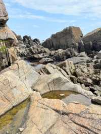 Ocean & Meadows Unbound: A Summer Walk Along Tanesashi Coast