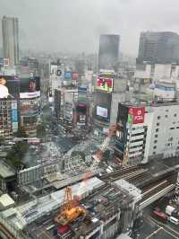 🌆 Tokyo in 3 Iconic Stops: Skyline, Loyalty & Organized Chaos 🐶✨