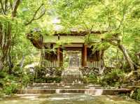 🍁 Solo Serenity: Jōjakkō-ji Temple – Kyoto’s Hidden Mossy Sanctuary