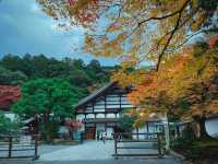 รีวิว Nanzen‑ji – วัดเซนที่ตกหลุมรัก