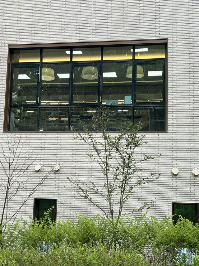 도서관과 숲속 공원