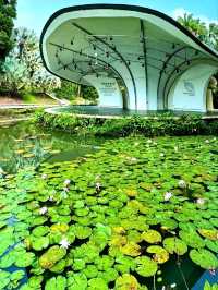 Discovering the Botanic Gardens Singapore