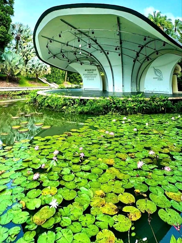 Discovering the Botanic Gardens Singapore