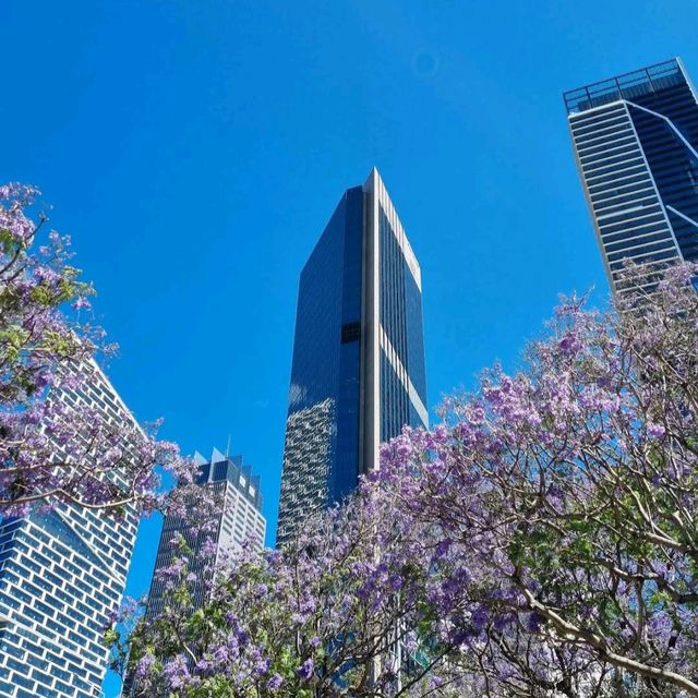 Circular Quay Walk