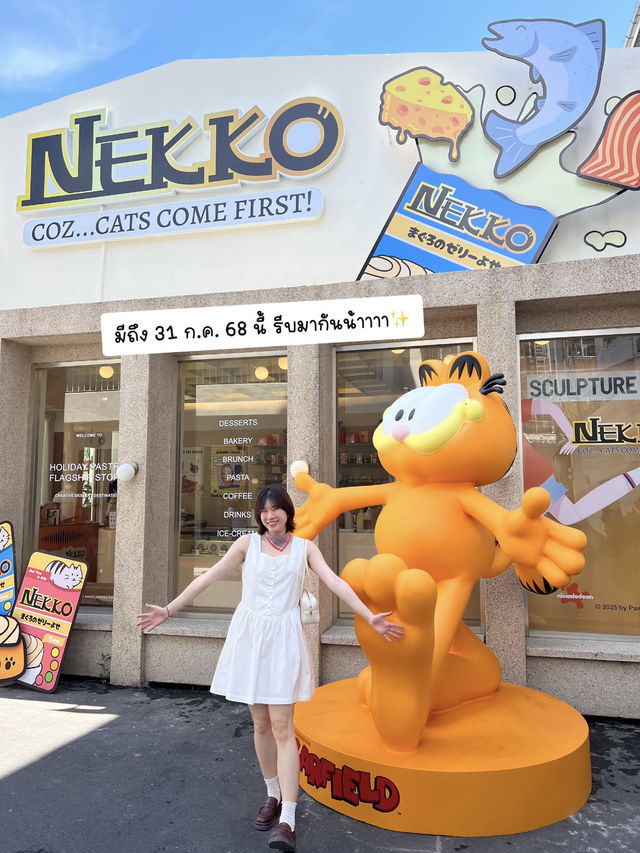 Nekko x Garfield คาเฟ่เหมียวสุดคิ้วท์ 😸🧋