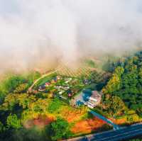 THE CAMPIAN เชียงดาว, เชียงใหม่ 