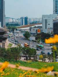 🌿 Secret Seoul Escape – A Hidden Romantic Park Near Dongdaemun 🇰🇷