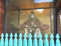 Gate of Timeless reverence, the Romon Gate, entrance to Nezu Shrine