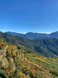 Flower Hills in the North: Northern Blossom Farm