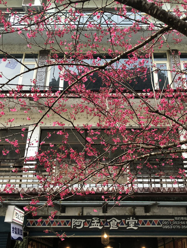 🧭 烏來雲仙樂園｜山林珠寶盒裡的纜車秘境