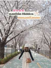 แจกพิกัด Hidden ย่าน seongsu ชมดอกพ๊อตกต🌸 