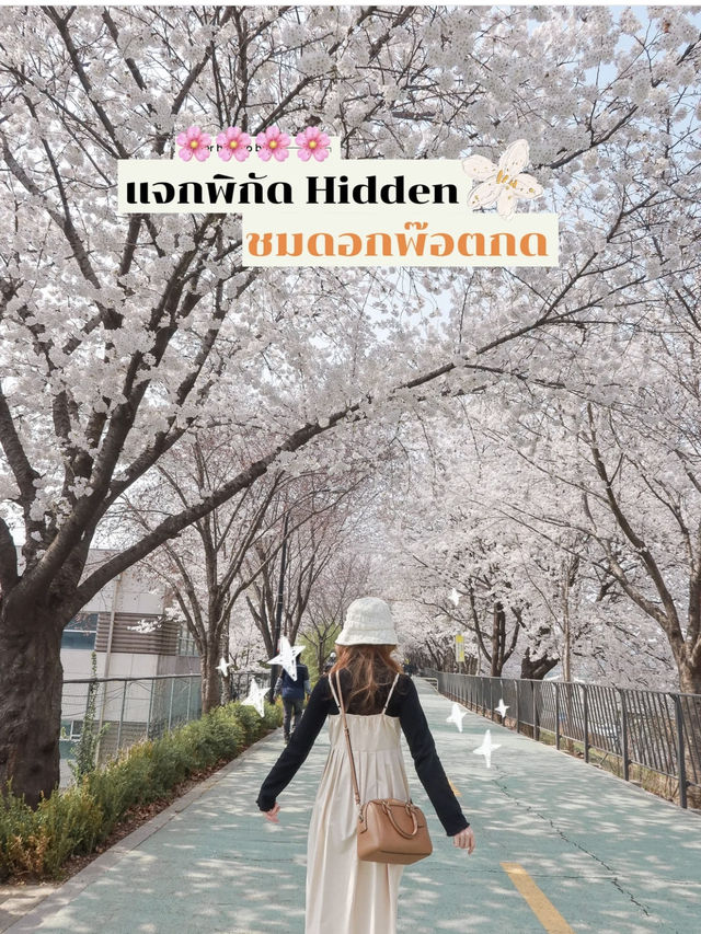 แจกพิกัด Hidden ย่าน seongsu ชมดอกพ๊อตกต🌸 