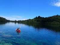 帛琉之旅 海島旅遊 浮潛 珊瑚巡禮