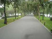 🌷 Taiziwan Park — A Stroll Through Spring’s Softest Dream