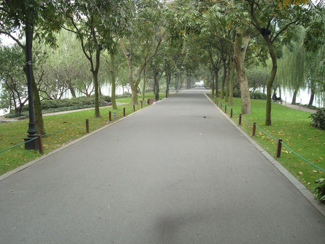 🌷 Taiziwan Park — A Stroll Through Spring’s Softest Dream