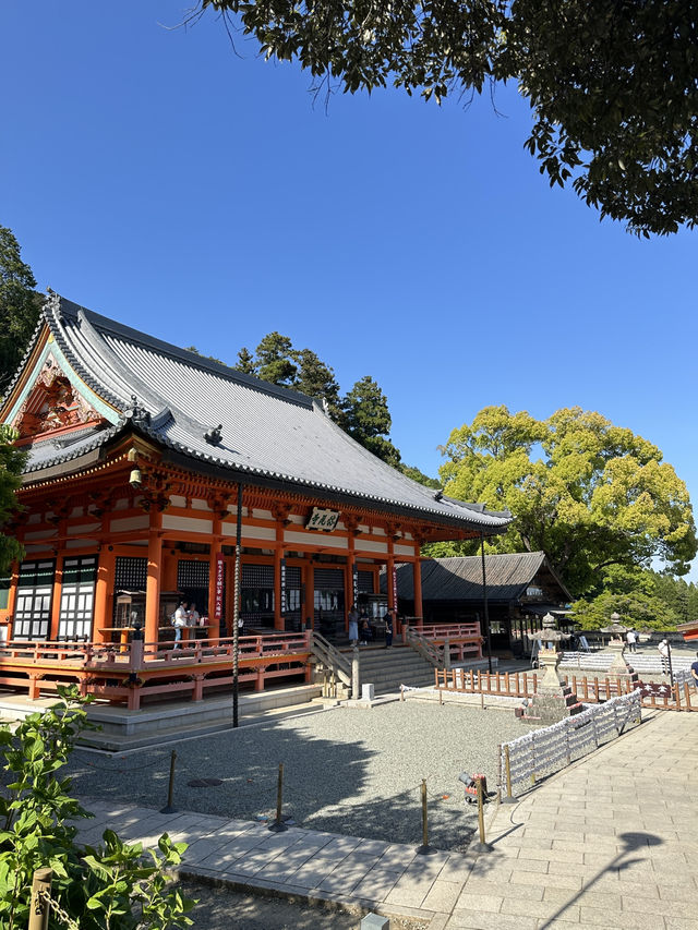 วัดดารุมะ Katsuoji temple