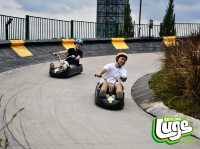 Fantastic Skyline Luge Experience