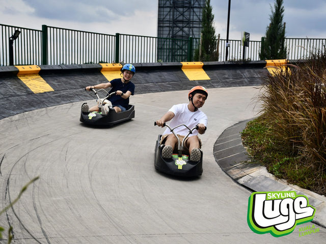 Fantastic Skyline Luge Experience